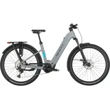 Scott Axis 10 Wave - 29 Zoll 800Wh 12K Wave - bird grey - L