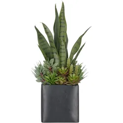 Kunstpflanze CREATIV GREEN "Arrangement aus Sukkulenten", grün, H:55cm, Kunststoff, Kunstpflanzen, mit verschiedenen Sukkulenten