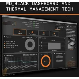 Western Digital Black SN770 1 TB M.2 WDS100T3X0E