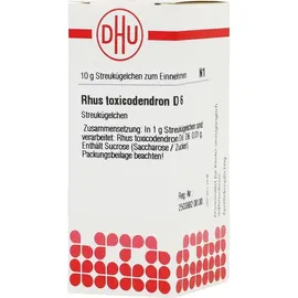 DHU-Arzneimittel RHUS TOX D 6 Globuli