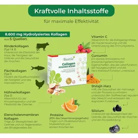 Biostile Collagen Powder Blend Pulver 300 g