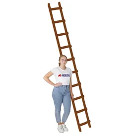 Proregal Dachleiter 10 Sprossen