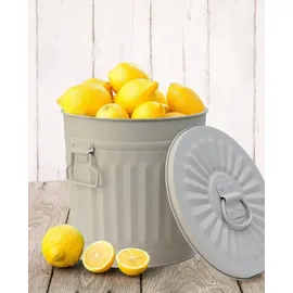 Jinfa Ascheeimer Metall 21,5 cm Höhe 7 l grau