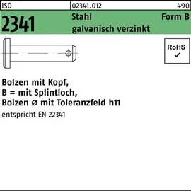 F. REYHER Nchfg. GmbH & Co. KG Bolzen ISO 2341 Kopf/Splintloch B 12 x 30 x 24,5 mm 10 Stück