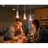 Philips Hue White Ambiance Devote inkl. Dimmschalter