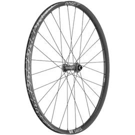DT Swiss Laufrad E 1900 SPLINE 29"