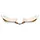Huub Brownlee 2 Custom Air Schwimmbrille