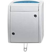 Busch-Jaeger Zugschalter 2610/6 W-53