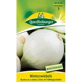 Rocalba Quedlinburger Zwiebel ''Blanca de la Reina''