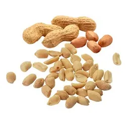 HELLMA Erdnüsse 100x25g 70102079