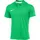 Nike Academy Pro 24 Poloshirt grün F329