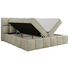 MKS Meble Boxbett mit Bettkasten ¦ beige ¦ Maße (cm): B: 214 H: 113