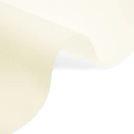Wellhome Lichtdurchlässiger Rollo 150 x 175 cm Beige
