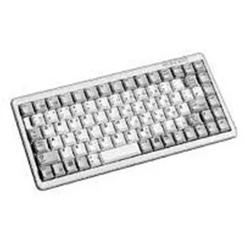 Cherry G84-4100 US hellgrau G84-4100LCMEU-0