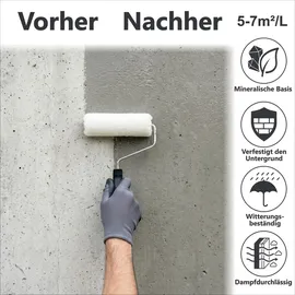 WO-WE Kaliwasserglas Haftgrund Bindemittel Versiegelung Wasserglas Mauerabdichtung W515 10 l