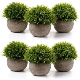 luxuskollektion Kunstpflanze Bonsai Topf Wohnung Büro Dekor Geschenk Gras Grün 6er set