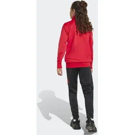 adidas Trainingsanzug ADIDAS SPORTSWEAR "J BL TR TS 205", Jungen, Gr. 176, rot (pure ruby, schwarz), Obermaterial: 100% Polyester, Sportanzüge Trainingsanzug