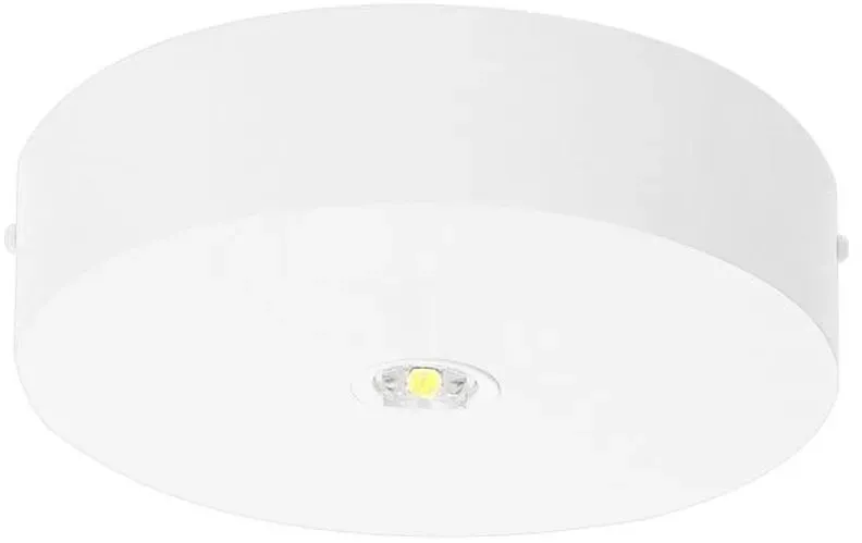 Fischer LED-Sicherheitsleuchte BRD329M.V2