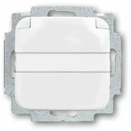 Busch-Jaeger Steckdoseneinsatz 20 EUKN-214 Weiß 1 St.