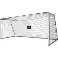 EXIT TOYS Scala Aluminium Fußballtor 500 x 200 cm mattes silber