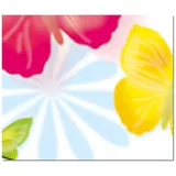 Transparentpapier 115 g/m2