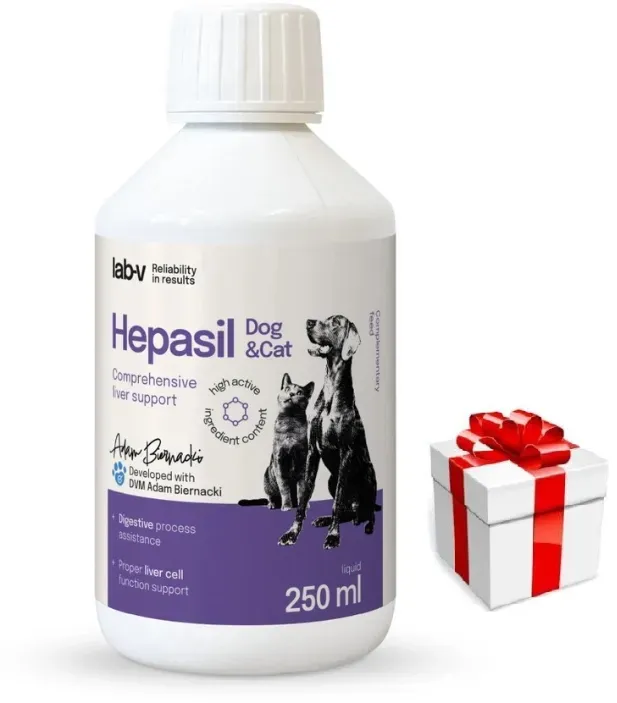 Lab-v Hepasil Dog & Cat – Ergänzungsfuttermittel zur Unterstützung der Leberfunktion bei Hunden und Katzen, 250 ml+ Überraschung für den Hund