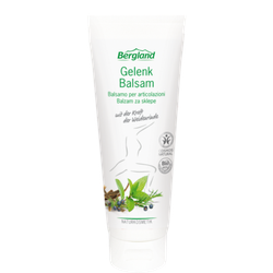 Gelenk Balsam 100 ml