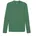 teamGOAL langarm Funktionsshirt Herren 05 sport green/power green XXL