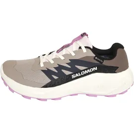 Salomon Alphaglide Gore-Tex Damen Etherea / Vanilla Ice / Cyclamen 39