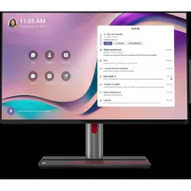 Lenovo ThinkSmart View Plus 12CN0002GE