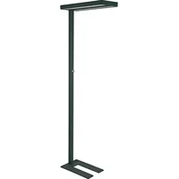 Maul MAULjaval Stehlampe schwarz