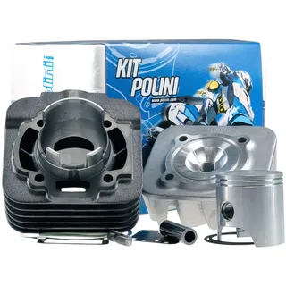 Polini kids Zylinderkit für Piaggio Sfera-Zip-Free 50 D.47