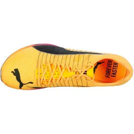 Puma evoSPEED Forte Nitro Elite Herren Orange/Pink 40