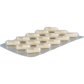 Merz Pharma Pantovigar vital Kapseln 180 St.