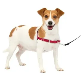 PetSafe Easy Walk-Geschirr, Anti-Zieh-Hundegeschirr, Verringert Würgen und Husten, Mit 1,8 M Leine, Größe S,