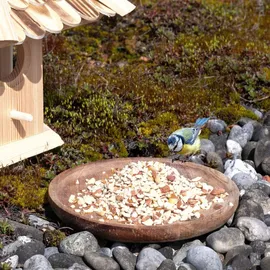 Lyra Pet Erdnusskerne gehackt 10 kg