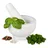 Relaxdays Marmor Mörser mit Stößel Ø 10 cm 120 ml weiß