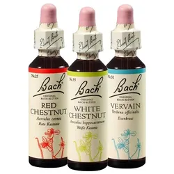 Original Bachblueten Trio "Neues Jahr, neues Ich" 3X20 ml