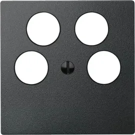 Merten Zentralplatte anth 295314