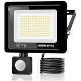 Blivrig 100 W LED-Strahler Mit Bewegungsmelder, 10.000 lm, Außenbereich, Sensor, Warmweiß (3000 K), Wasserdicht, IP66, Außenstrahler für Sicherheit, Garage, Flur