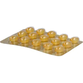franconpharm Arzneimittel Europe LTD Strongus Kapseln 60 St.
