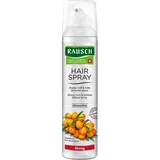 Rausch HAIRSPRAY Strong Aerosol