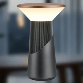 Briloner Pilia Anthrazit-Bronze