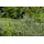 GAH Alberts Alberts Doppelstabmatten-Grundset Nexus 200 x 100 cm, 10 m, anthrazit