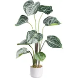 Creativ green Künstliche Zimmerpflanze »Anthurium Clarinervium«, mit außergewöhnlichem Blattwerk, grün