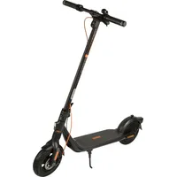Segway Ninebot F2 Pro D schwarz