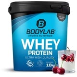 Bodylab24 Whey Protein Kirsch-Joghurt Pulver 1000 g