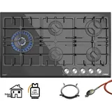 Phonix PG-905L