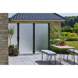Plus Sichtschutzelement 90 x 91 cm Transparent Glas