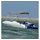 vidaXL Bimini Sonnenverdeck 4-Bow 243x(200-213)x137 cm Polyester Grau